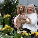 Dog Romeo and customer at Dobbies