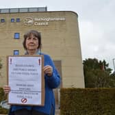 Dr Jane Mccarthy Council, photo from Local Democracy Service