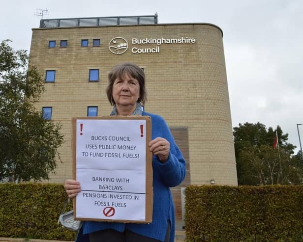 Dr Jane Mccarthy Council, photo from Local Democracy Service