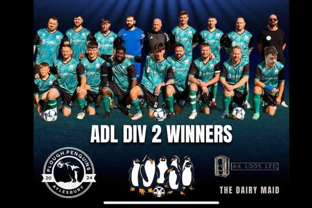 ADL Division Two Winners Plough Penguins