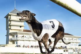 Hello Hammond in action at Towcester in May (Picture: Steve Nash)