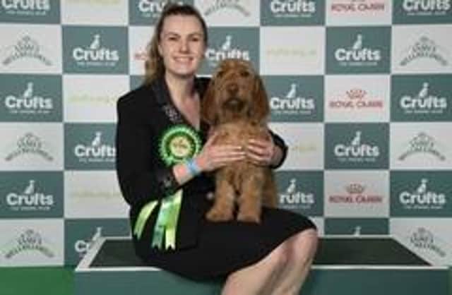 Antonia Leech, from Milton Keynes, with Margaux, a Basset Fauve de Bretagne which was the Best of Breed winner on the first day of Crufts 2025. Photo: BeatMedia / The Royal Kennel Club