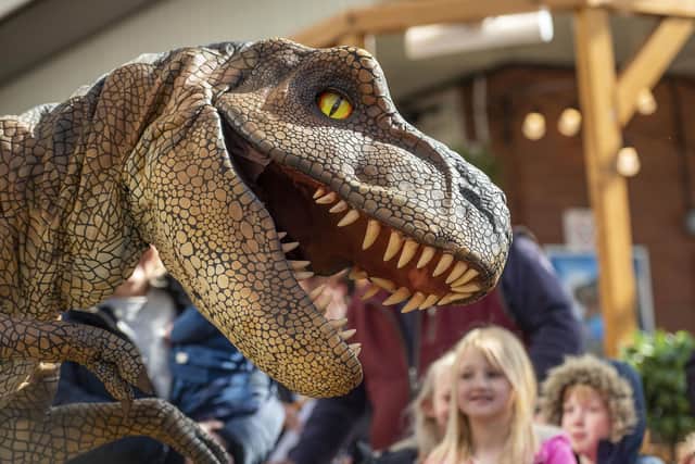 Visit of T Rex dinosaur Rex. Picture by Mark Westley