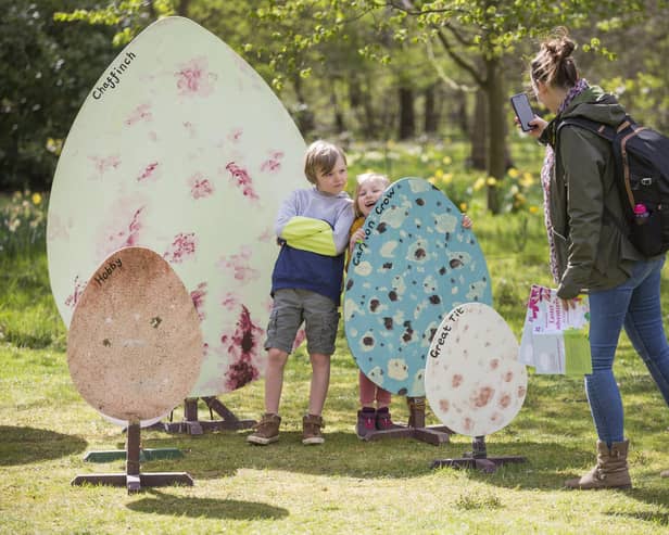 One of the trust's many Easter trails, photo from James Dobson