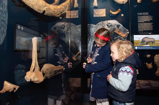 Children enjoy the one of the galleries