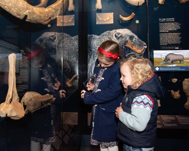 Children enjoy the one of the galleries