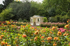 The Rose Garden at Buckingham Palace.