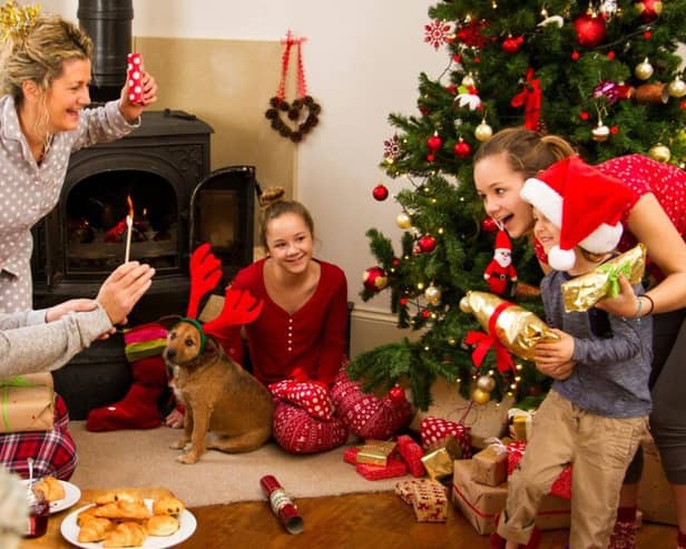 Keeping your pets safe at Christmas