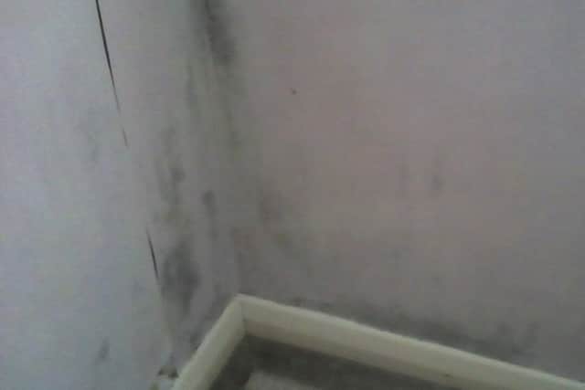 The reported black mould