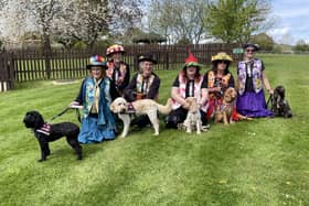 Hearing dog puppies captivated by Morris dancing performance
