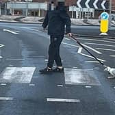 The man was seen walking the gull with a dog lead in Bispham on Monday, April 10. Pic credit: Alexander Faulkner