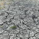 Drought conditions in the South East of England