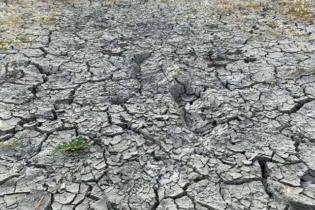 Drought conditions in the South East of England