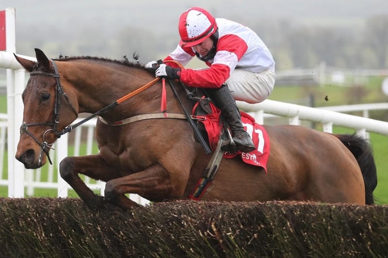 In-form Irish trainer Peter Fahey has always considered his 10yo stable star, THE BIG DOG (201), to be a Grand National horse in the making and he went some way towards proving that when a gallant third under a big weight in the Welsh version at Chepstow over Christmas. A relentless galloper, he's now on a career-high handicap mark and he does definitely prefer Soft ground. But although he fell last time out, he was in the process of running a lifetime-best behind subsequent Cheltenham Gold Cup winner Galopin Des Champs.