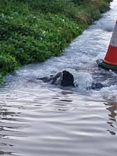 A burst water main has caused traffic chaos this morning