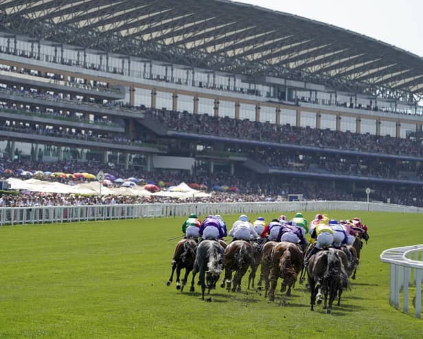 And they're off for the greatest Flat race meeting of the year. Royal Ascot features 35 races over five glorious days. Check out our guide to 12 of the best horses set to run at the meeting.