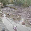 Storm Babet has destroyed homes and claimed three lives