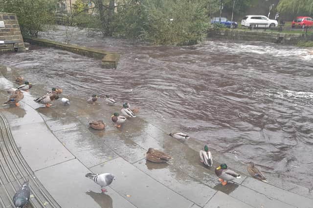 Storm Babet has destroyed homes and claimed three lives