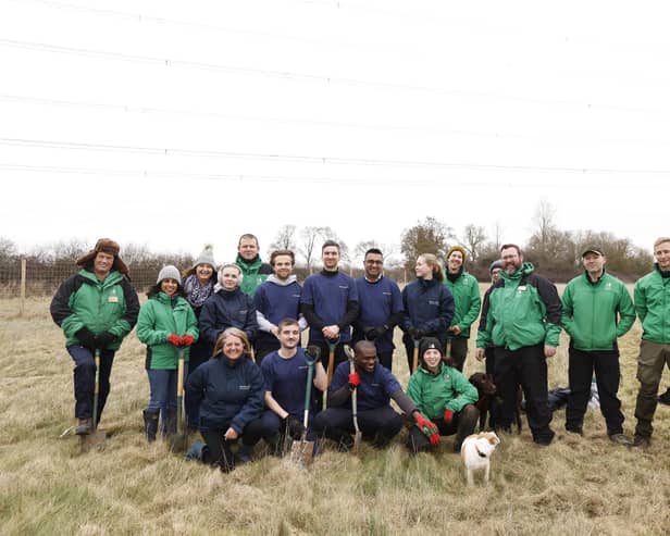 Wing Wood Forestry England British Airways planting event
