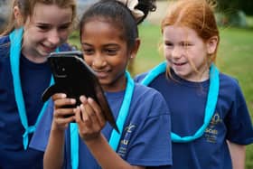 Scouts Cyber Security Activities