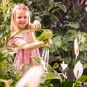 Little Seedlings Ambassador Ella (age 5) is pictured watering houseplants at Dobbies
