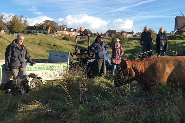 Volunteers from the he Brill Village Community Herd Ltd in action, photo from Roger Stone