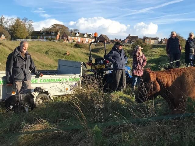 Volunteers from the he Brill Village Community Herd Ltd in action, photo from Roger Stone