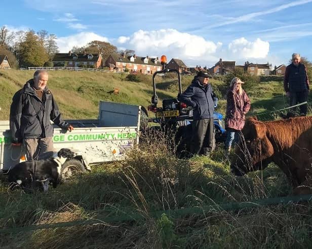Volunteers from the he Brill Village Community Herd Ltd in action, photo from Roger Stone