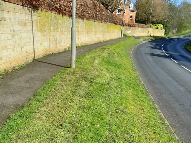 Verge after the final cut by Buckingham Town Council