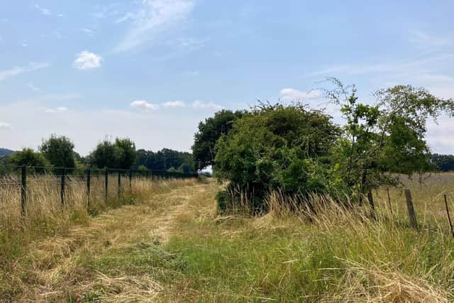 Misbourne Greenway is set to be transformed