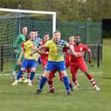 Captain Terry Griffiths and top scorer Callum Shortt (inset) have committed to next season at Aylesbury Vale Dynamos   Pictures by Iain Willcocks