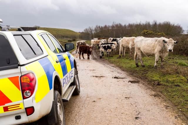 Police are investigating a spate of rural crimes round Buckingham