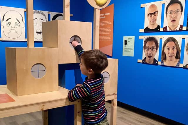 Your Amazing Brain activity at Discover Bucks Museum