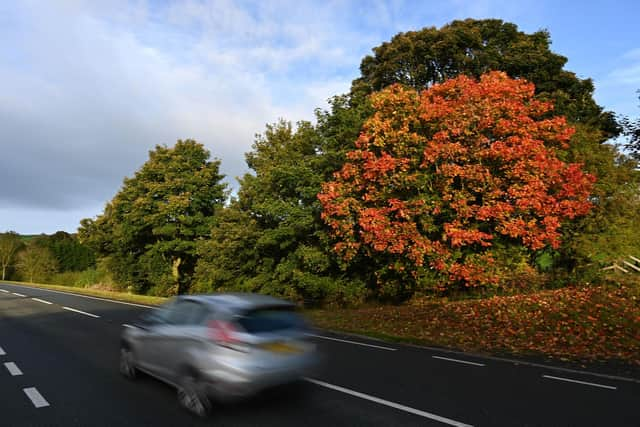 It is set to get cooler (Photo by PAUL ELLIS/AFP via Getty Images)