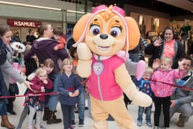 Skye from Paw Patrol, photo by Derek Pelling