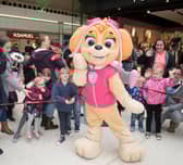 Skye from Paw Patrol, photo by Derek Pelling