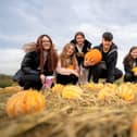 Earth Trust Pumpkin Patch returns this half-term