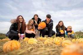 Earth Trust Pumpkin Patch returns this half-term