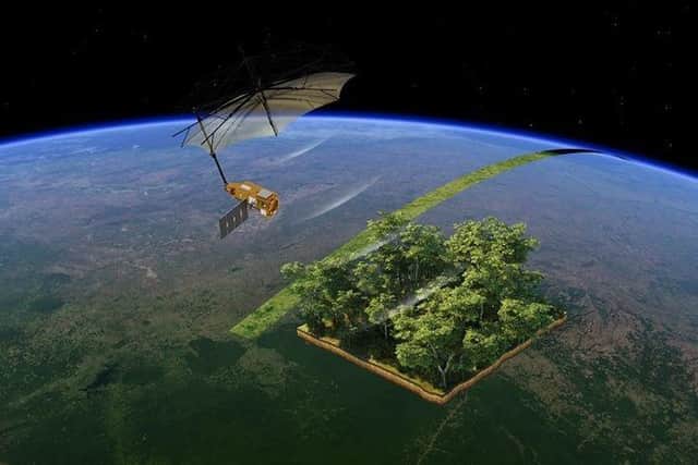 This graphic from the European Space Agency, illustrates how the Biomass satellite will provide detailed satellite imagery over the world's tropical forests, through the tree canopy.