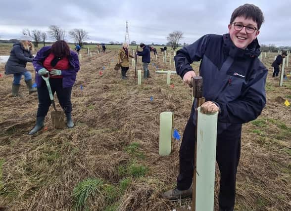 Volunteer Frankie, 17, hard at work planting trees at Wing Wood