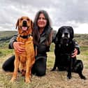 Rachel Bean is giving this advice to Bucks dog owners - Animal News Agency