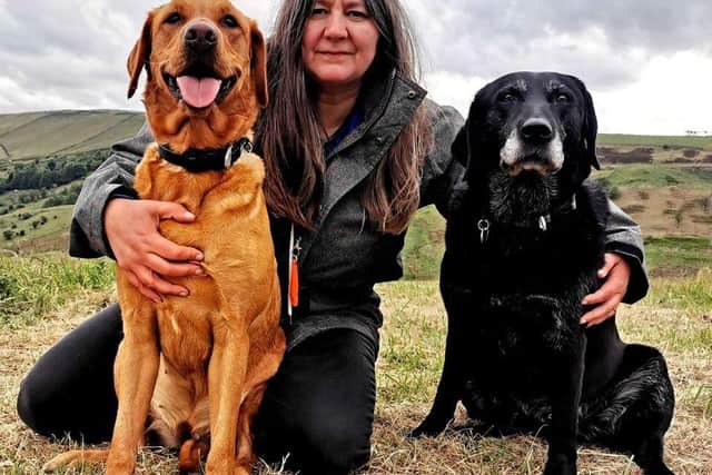 Rachel Bean is giving this advice to Bucks dog owners - Animal News Agency