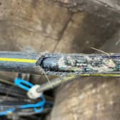 Cable damaged caused by a rodent in Tring