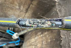 Cable damaged caused by a rodent in Tring