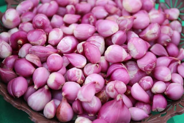 Garden bulbs.