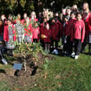 Vice Lord-Lieutenant Alexander Boswell with Prep and Senior Eco Committee students planting the tree