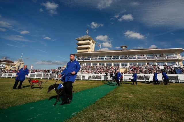 The greyhound derby was first staged at Towcester in 2017
