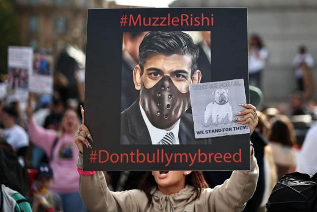 Supporters of the XL Bully dog breed hold placards during a protest against the UK Government's plans for the breed. (Photo by HENRY NICHOLLS / AFP) (Photo by HENRY NICHOLLS/AFP via Getty Images)