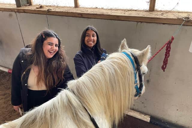 Students loving the pony interaction opportunity