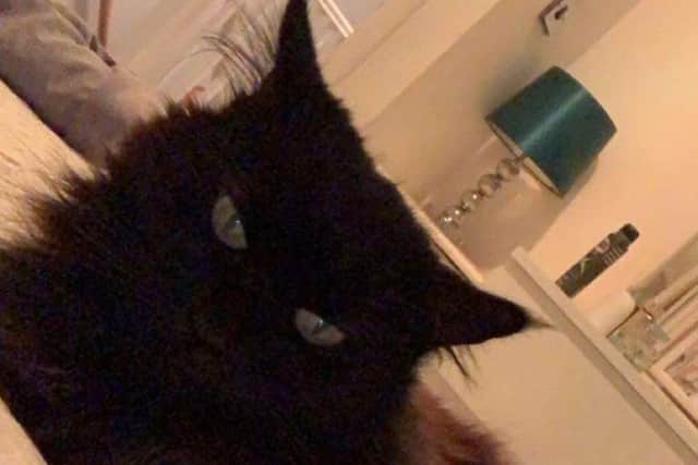 It is believed that Princess is still in Aylesbury